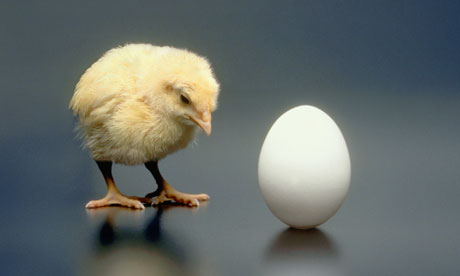 Chicken VS Egg- Which has more protein?